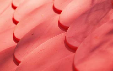 Lamplugh plastic roof costs