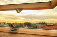rated Lamplugh roof window companies